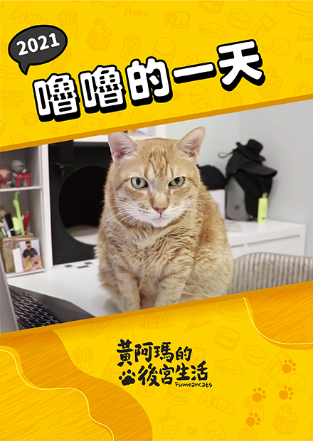 【黃阿瑪的後宮生活】2021嚕嚕的一天！