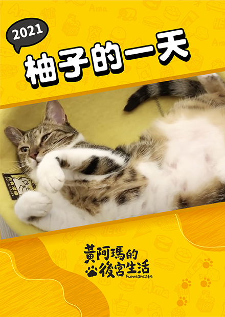 【黃阿瑪的後宮生活】2021柚子的一天！