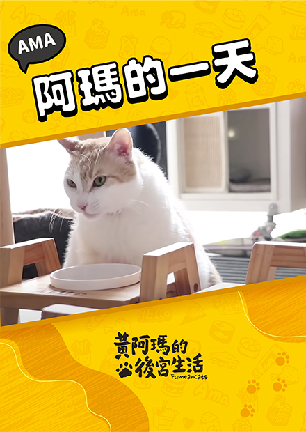 【黃阿瑪的後宮生活】阿瑪的一天！