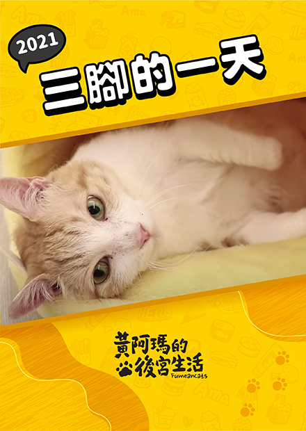 【黃阿瑪的後宮生活】2021三腳的一天！