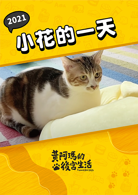 【黃阿瑪的後宮生活】2021小花的一天！