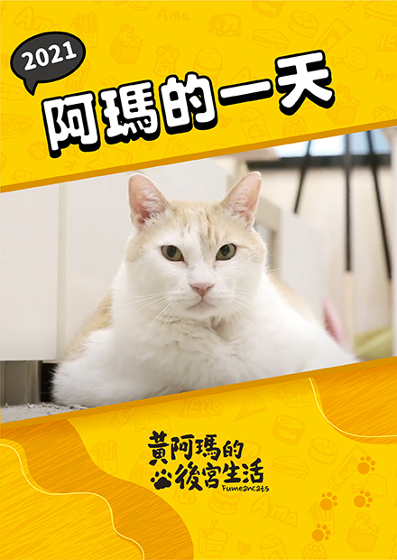 【黃阿瑪的後宮生活】2021阿瑪的一天！