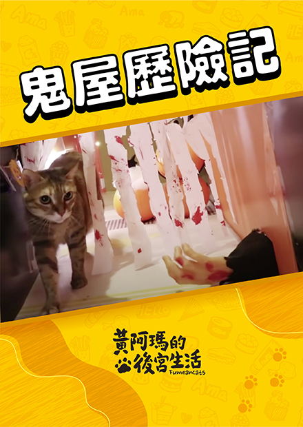 【黃阿瑪的後宮生活】鬼屋歷險記！猛鬼vs餓貓！萬聖節企劃