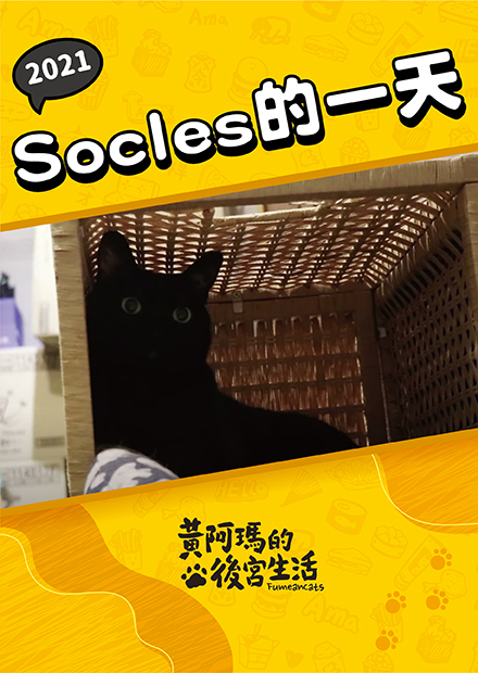 【黃阿瑪的後宮生活】2021Socles的一天！