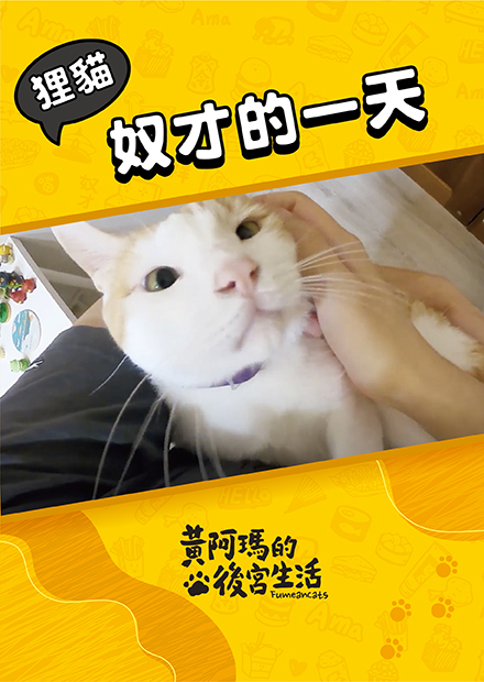 【黃阿瑪的後宮生活】狸貓奴才的一天！