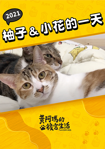 【黃阿瑪的後宮生活】2021柚子&小花的一天！