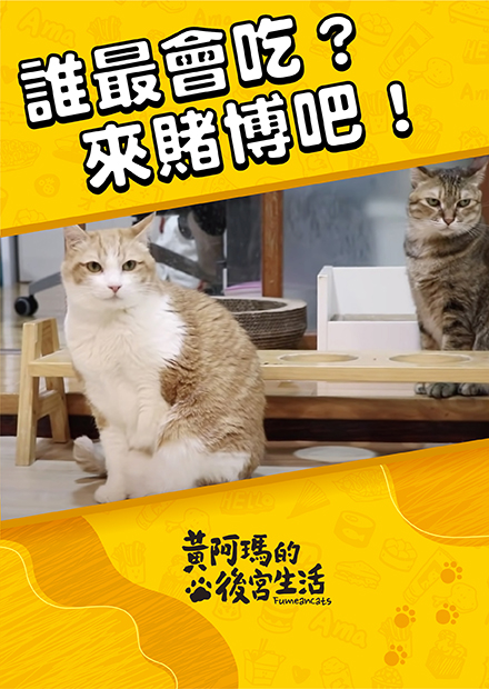 【黃阿瑪的後宮生活】誰最會吃？來賭賭看吧！