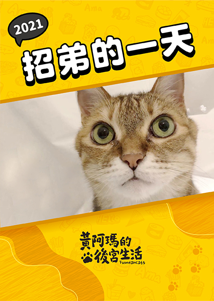 【黃阿瑪的後宮生活】2021招弟的一天！