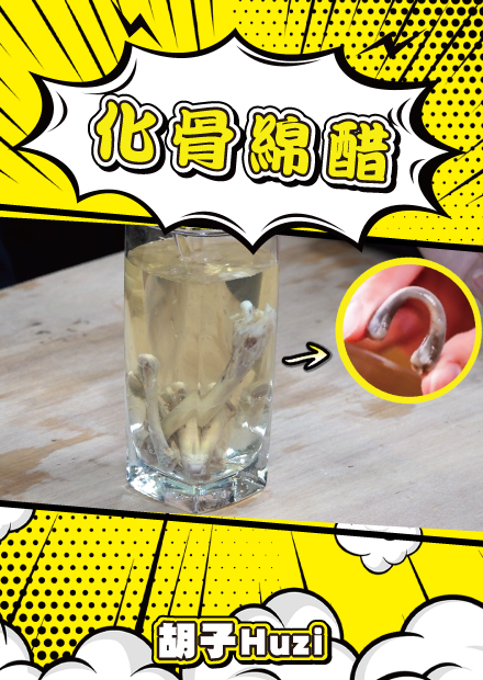 用醋能把骨頭泡軟？火柴遇到水會開花？小實驗裡滿滿的科學原理！【胡思亂搞】