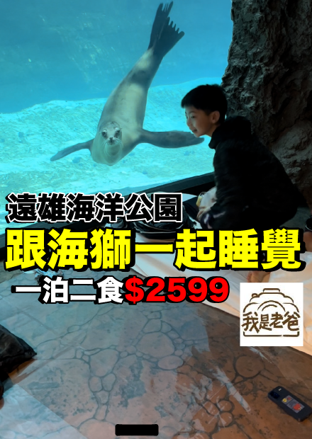 今天跟海獅一起睡覺！住在花蓮遠雄海洋公園一晚好玩嗎？