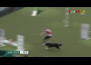 愛爾達體育MAX1台|LIVE WBC棒球經典賽 日本隊賽前記者會 3/6(普)