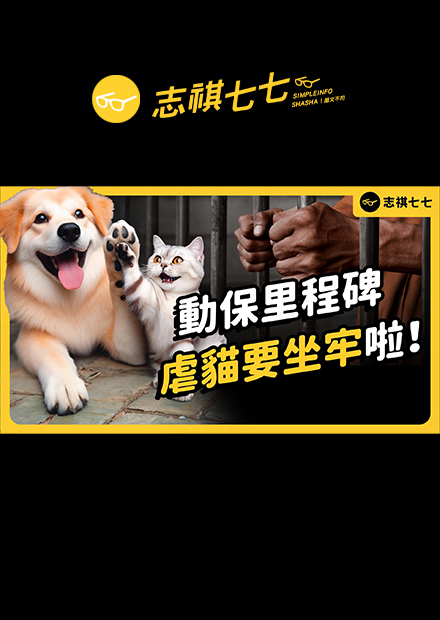 台灣首例！虐貓者入監服刑！但台灣的《動物保護法》這樣就夠了嗎？｜志祺七七