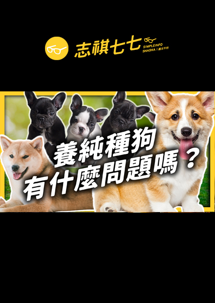 可愛的代價！純種狗是怎麼來的？人工繁殖為什麼讓狗滿身是病，越來越不適合生存？｜志祺七七