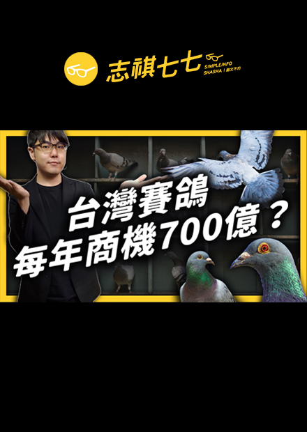 一隻鴿子身價破千萬！商機蓬勃的台灣賽鴿，在國際上卻陷入了形象危機？｜志祺七七