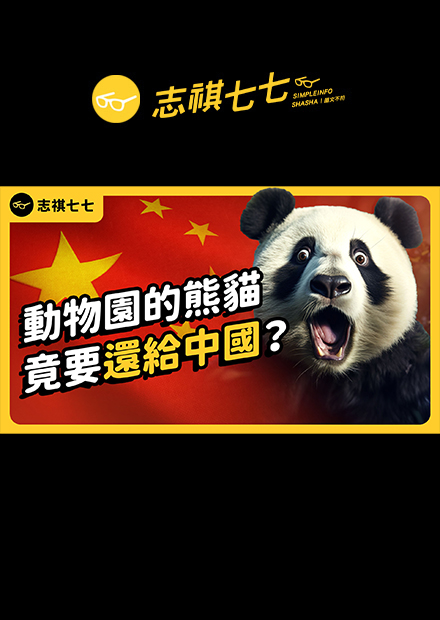 你知道跟中國「租」熊貓要多少錢嗎？旅外的熊貓，為何都要回歸祖國？｜志祺七七