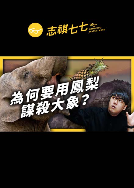 深度解析「印度大象謀殺案」！用水果炸彈傷害大象的人到底在想什麼？｜志祺七七