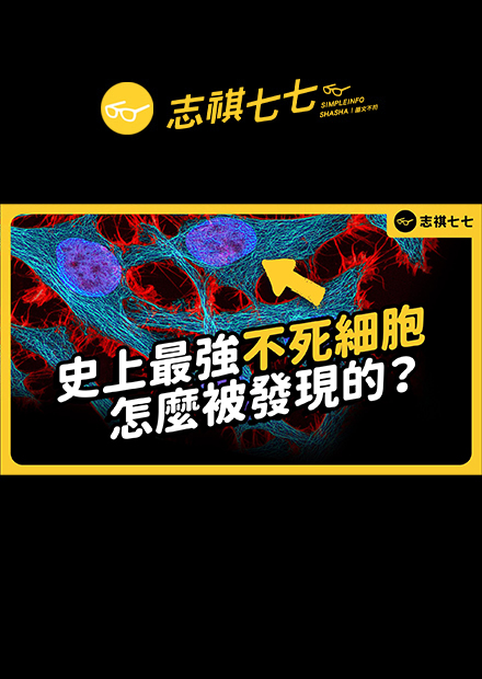 快速分裂還能永生不滅！拯救無數人類的海拉細胞，到底是怎麼被發現的？ ｜志祺七七
