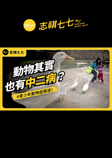 故意挑戰危險、霸凌同儕、搞小團體⋯⋯動物青少年居然也跟人類小孩一樣難搞？！｜志祺七七