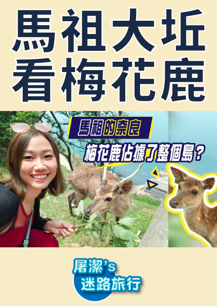 【屠潔】馬祖大坵島｜台灣也有小奈良！？百隻梅花鹿近距離接觸？
