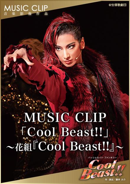MUSIC CLIP「Cool Beast！！」－花組「Cool Beast！！」－