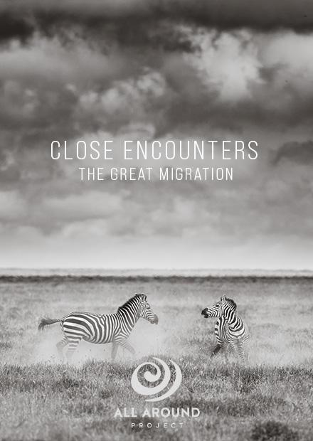 Close Encounters－大遷徙