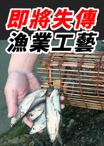 台灣即將失傳的漁業工藝 邵族編織 魚筌